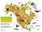 North America flora and fauna map, flat elements. Animals, birds