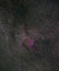 North America Nebula next to the brightest star in the Cygnus constellation, Deneb