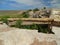 North America, USA,  Arizona, Petrified Forest National Park, Agate Bridge