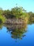 North America, USA, Florida, Anhinga Trail