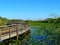 North America, USA, Florida, Anhinga Trail