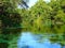 North America, USA, Florida, Hernando County, Weeki Watchee river