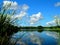 North America, USA, Florida, Lake Paurotis Pond