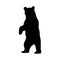 North American Black Bear Ursus americanus Standing On a Front View Silhouette Found In Map Of North America.