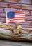 North American chipmunk with a flag