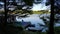 North American Cottage Dock in Summer