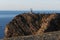 North Cape cliff, Norway