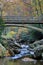 North Carolina Boone Fork Creek Autumn Vertical
