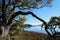 North Carolina Coastal land peaceful scene