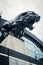 North Carolina Panthers football panther statue roaring fierce