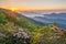 North Carolina, Sunrise, mountain laurel