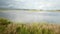 North Carolina Tidal Creek Marsh