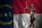 North Carolina US state flag with statue of lady justice and judicial scales in dark room. Concept of judgement and