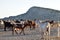 North Cyprus farmers landscape