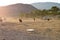 North Cyprus farmers landscape