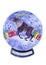 North deer on the background of a winter landscape in snow glass ball.