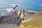 The North Devon Atlantic Coast between Hartland Quay and Morwenstow, UK