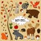 North forest animals vector design illustration