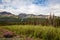 North of Haines Junction heading towards Kluane Lake- Yukon Territory- Canada