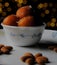 North Indian sweet known as Gulab Jamun in its fresh and delicious look with Bokeh background