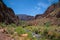 North Kaibab trail view of Grand Canyon.