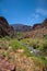 North Kaibab trail view of Grand Canyon.