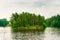 North Karelia lake, Russian wild nature. Forest growing
