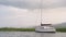 North macedonia. Ohrid. White sailboat on Ohrid lake beside reeds in sunny day. Horizontal photo.