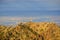 North Peak as seen at sunset from the top of Mt Diablo