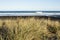 North Piha Beach