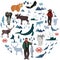 North Polar circle icons and images. Animals, eskimos, forests, mountains, hunters, boats, fish and fishermen