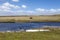 North Pond East Falkland island-2