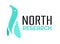 north research blue penguin logo design illustration