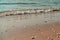 North Sea beach as photo background