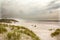 North Sea beach in Denmark. Dune grass.