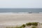 North Sea beach in Denmark. Dune grass.