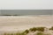 North Sea beach in Denmark. Dune grass.