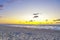 North sea, sandy beach at sunset