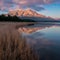 North shore of Mono Lake bathed in ethereal sunrise glow