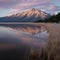 North shore of Mono Lake bathed in ethereal sunrise glow