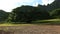 North shore oahu mountain line and green tree and field