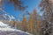 North side of Monte Pelmo that emerges in the middle of orange larches