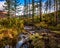 North tundra. The plateau putorana nation park.