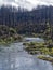 The North Umpqua River flows among burnt trees in the aftermath of a forest fire in the Richard G Baker Park, Oregon, USA