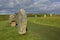 The North-west Sector of Avebury Henge in Wiltshire