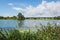 North Willen Lake having full of swans