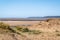 Northam Burrows on the Torridge and Taw estuary. Beautiful landscape, interesting geology and site of special scientific