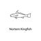 northen kingfish icon. Element of marine life for mobile concept and web apps. Thin line northen kingfish icon can be used for web