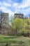 The Northern Area of Central Park in New York City during Spring with Geese and Residential Skyscrapers in the Background