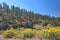 Northern Arizona landscape